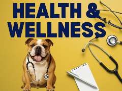 Health and Wellness